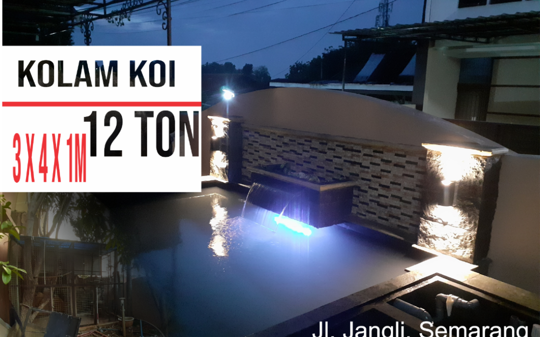 Pembuatan Kolam KOI 12 Ton Di Jl. Jangli Semarang